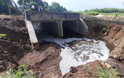 Xử lý chất thải chăn nuôi - Chìa khoá thúc đẩy phát triển Nông nghiệp Tuần hoàn bền vững